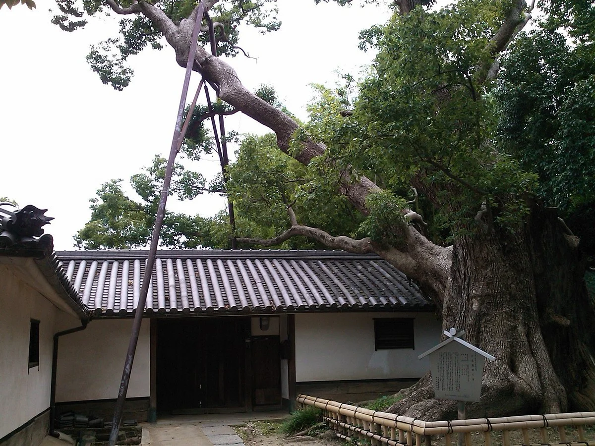 Gobyo Omotezuka Burial Mound