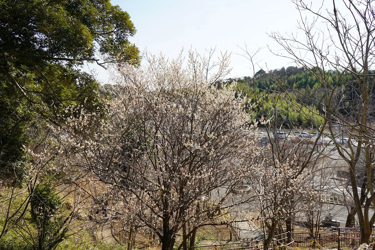 Kioroshimanyo Park