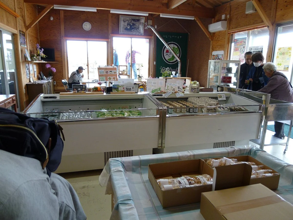 Nihonkai Ishiji Wasabi Garden
