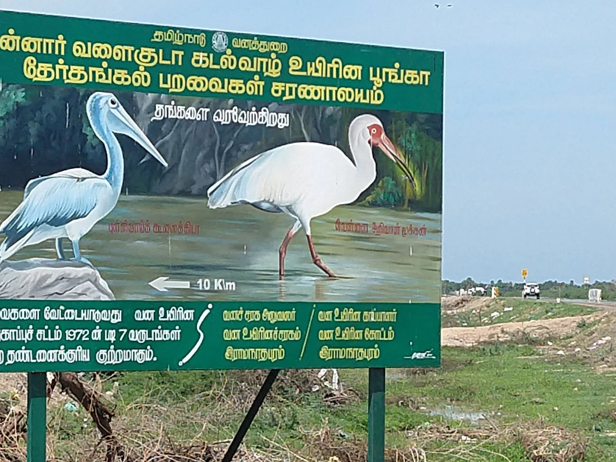 Water Bird Sanctuary