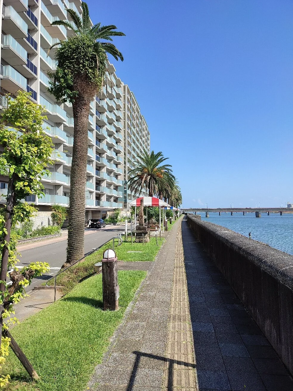 Tachibana Park