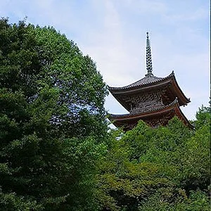 Kyoonzan Park