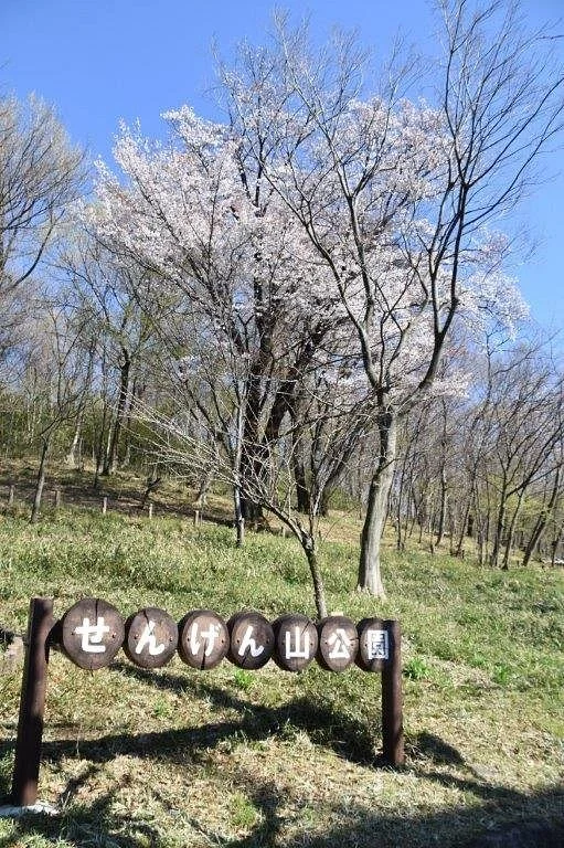 Sengenyama Park