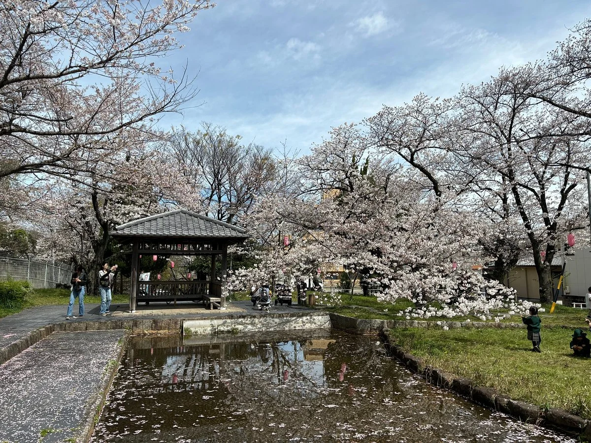 Oyama Ryokuchi