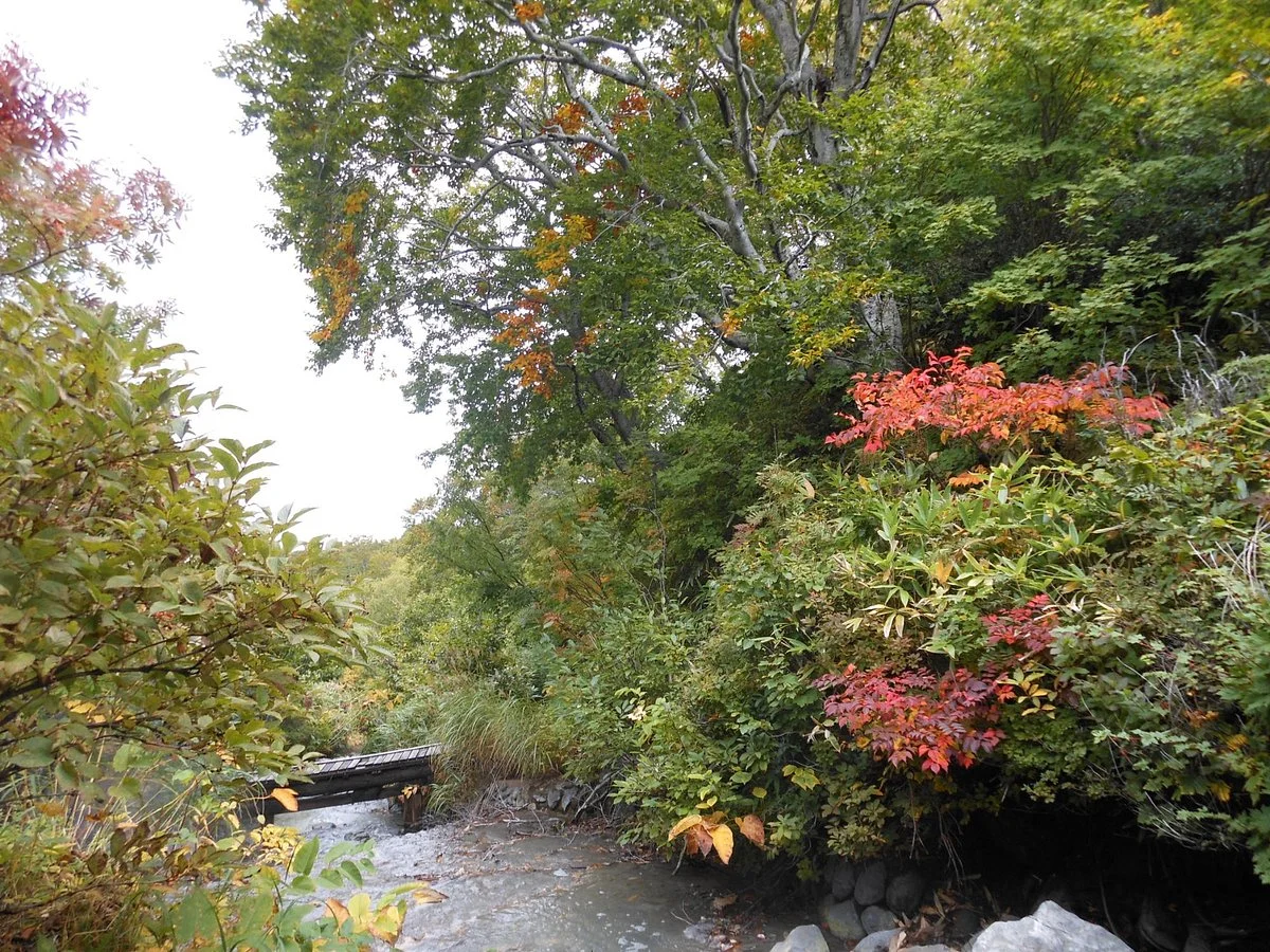 Manjufukashi