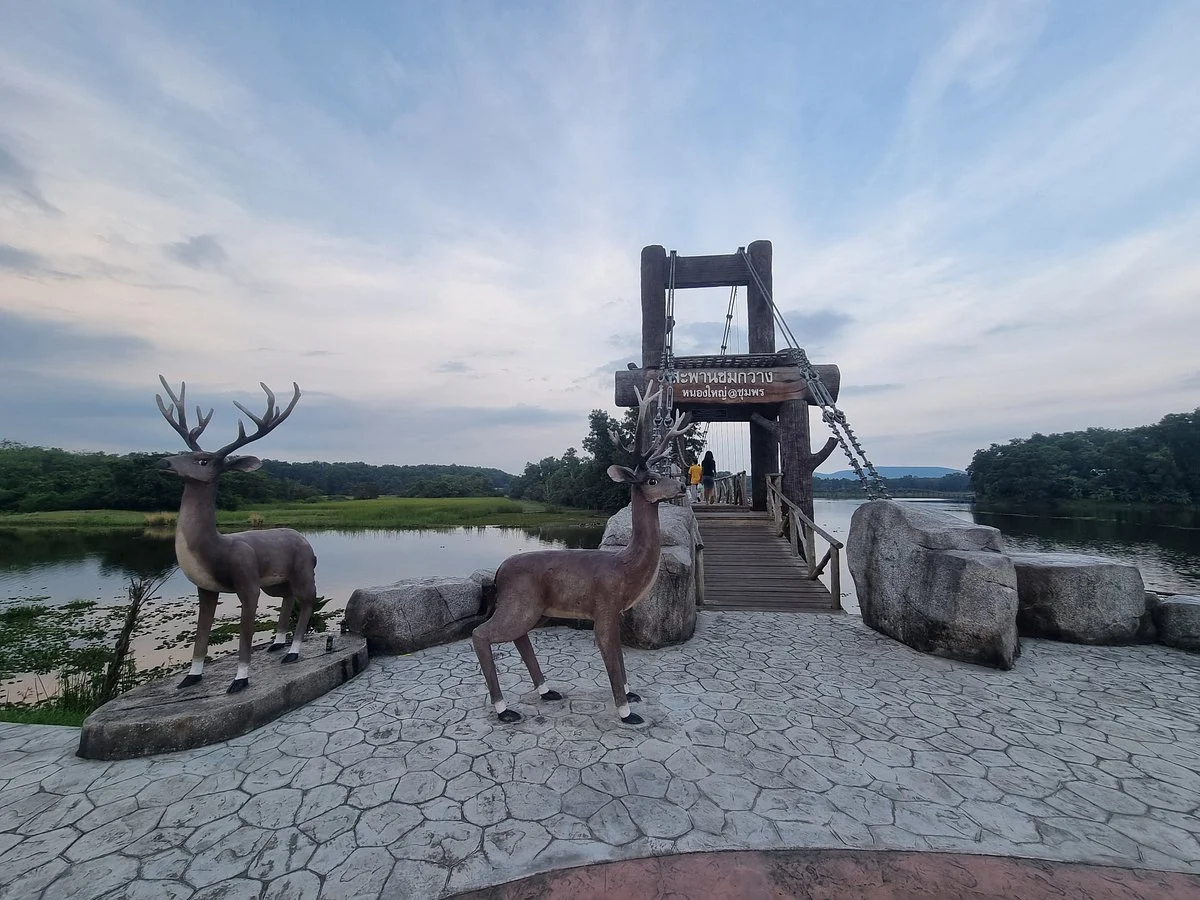 Nong Yai Tang Chang Public Park