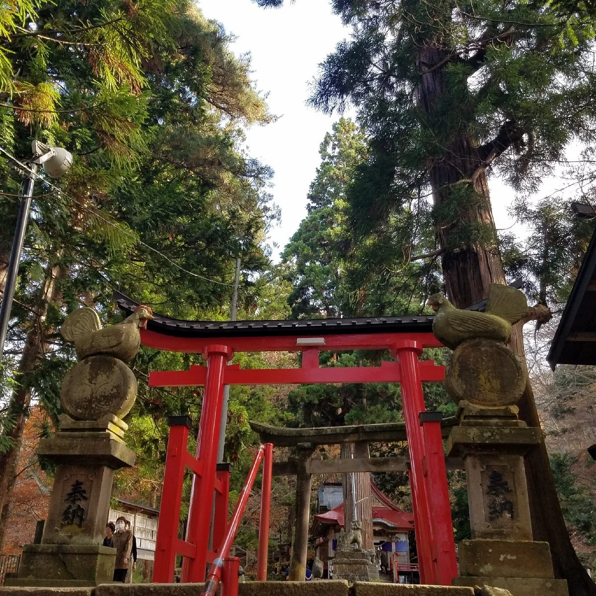 Nakano Shrine