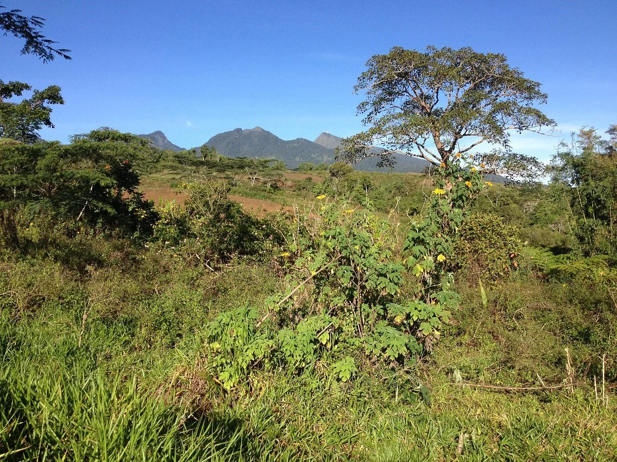 Mount Kitinglad Range National Park