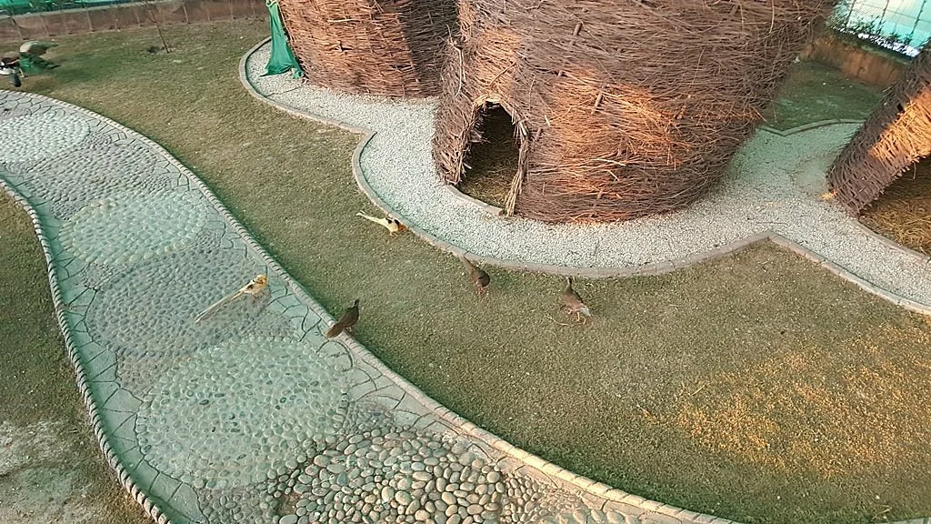Bahria Enclave Bird Aviary