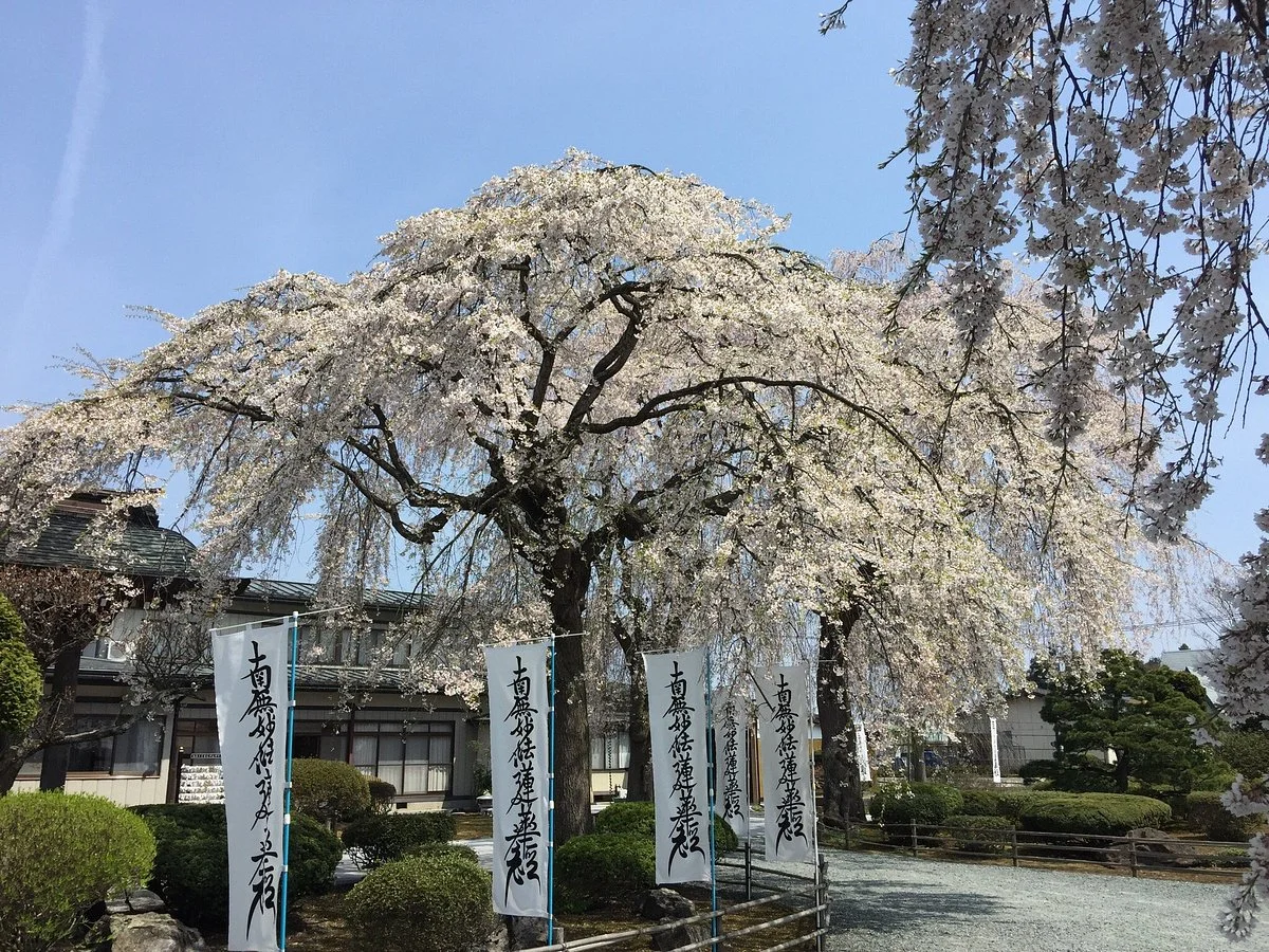 Shinsyoji Temple