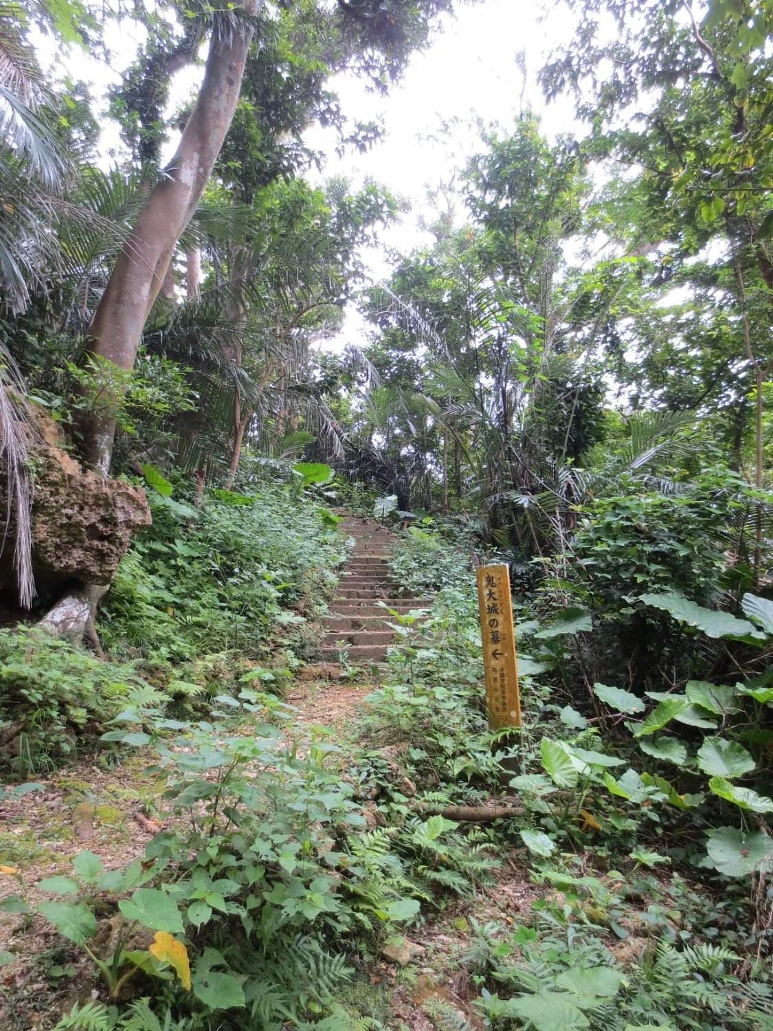 The Site of Chibana Castle