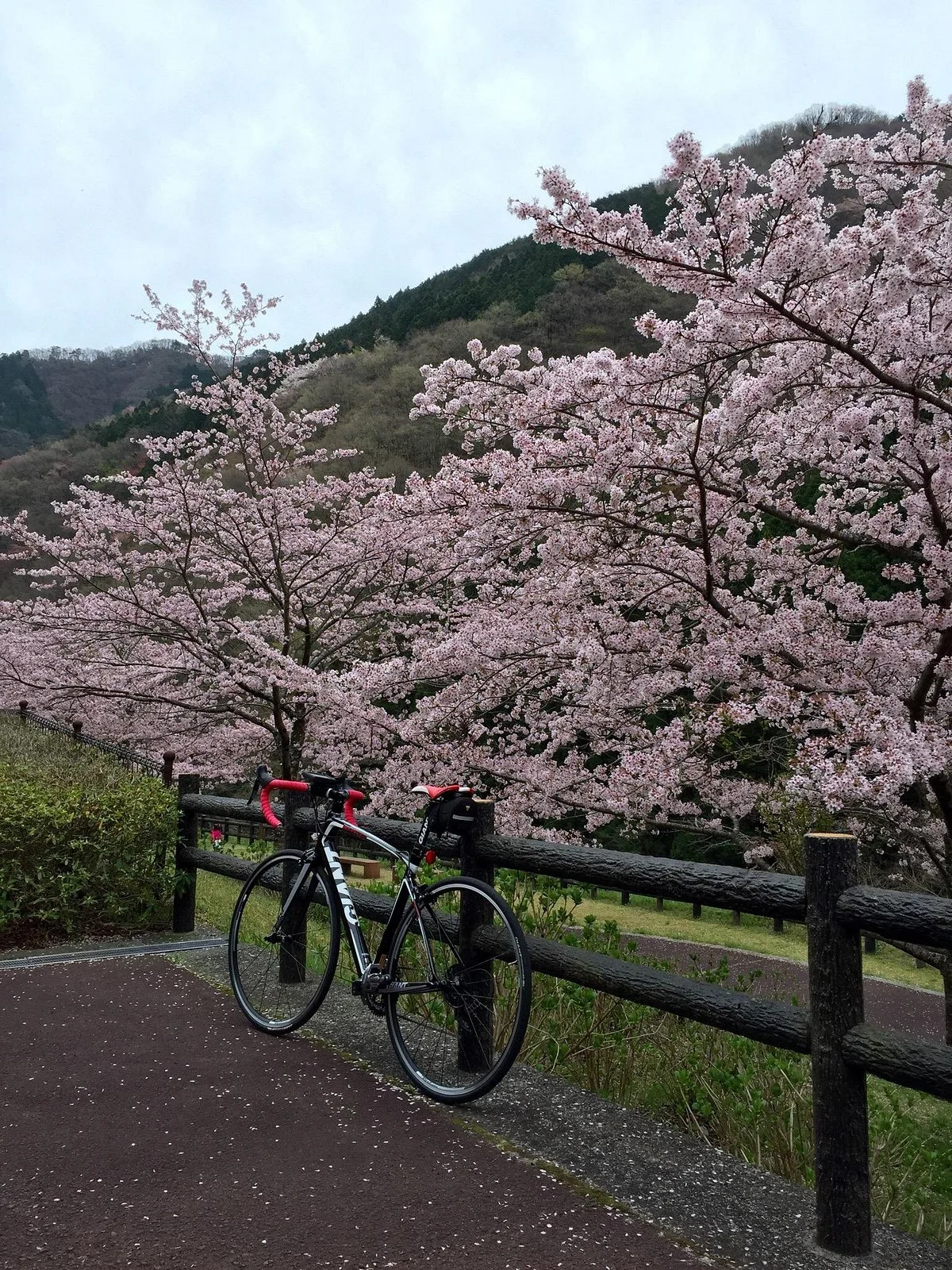 Michi-no-Eki Kotonami