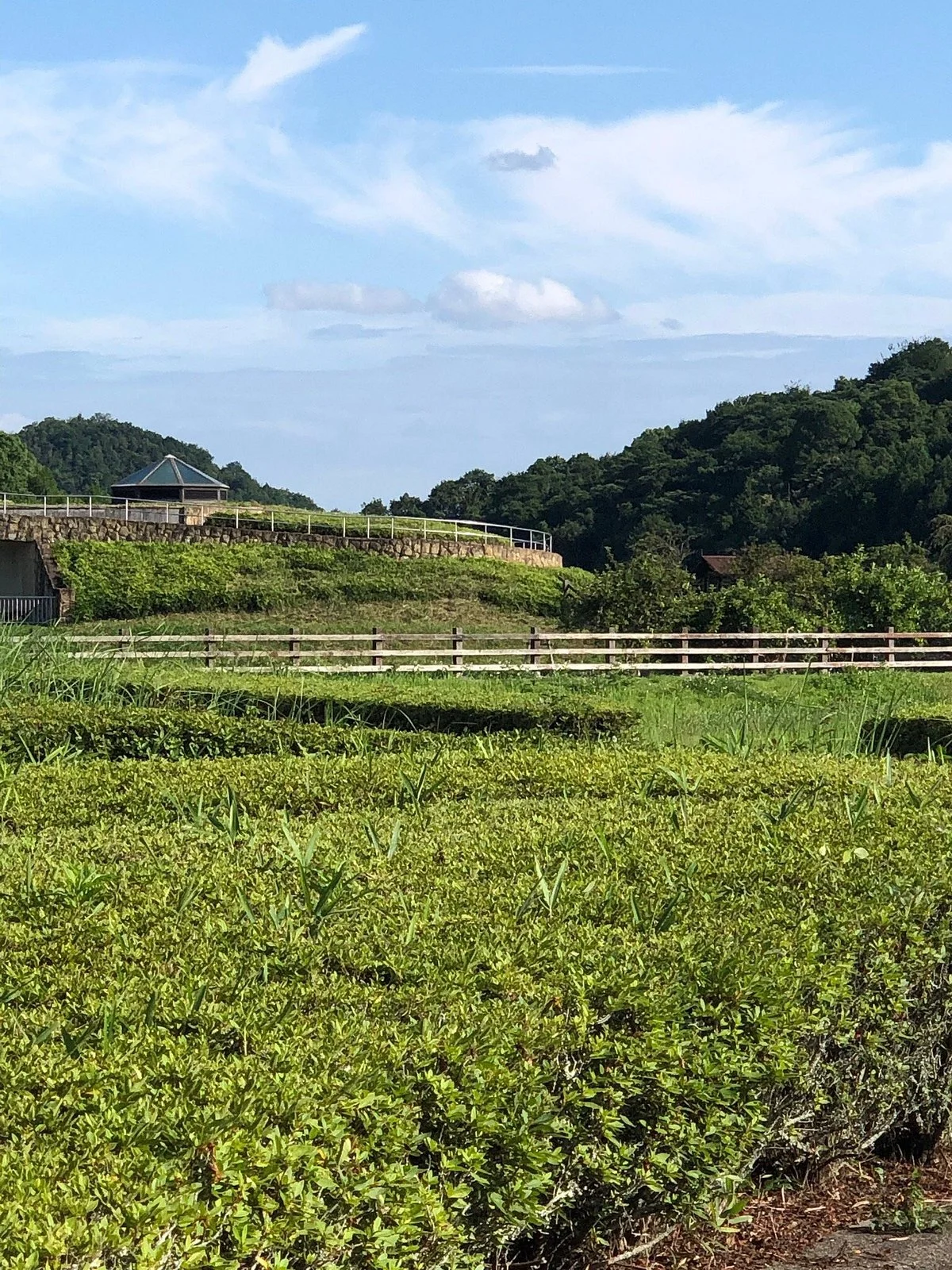 Tamaoka Historic Park