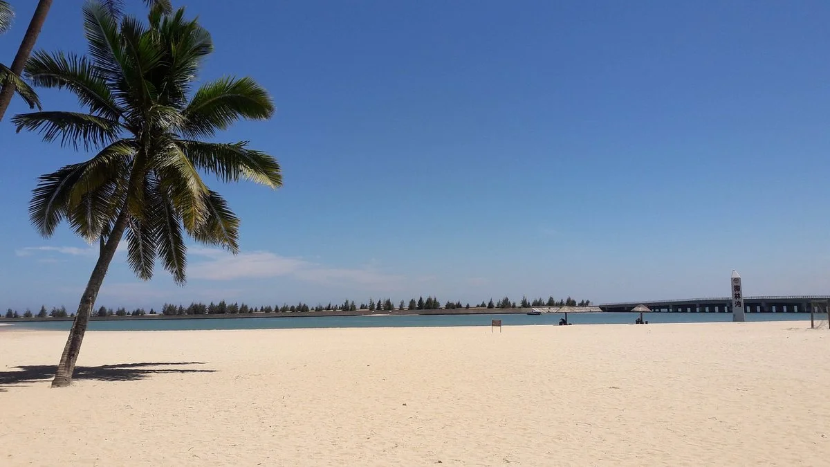 Dongjiao Coconut Plantation