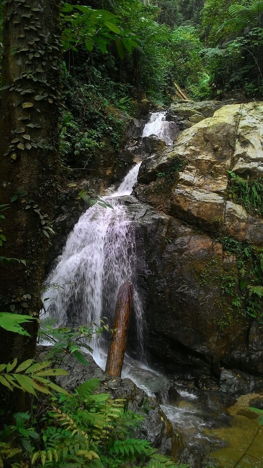 Pincuran Tujuh