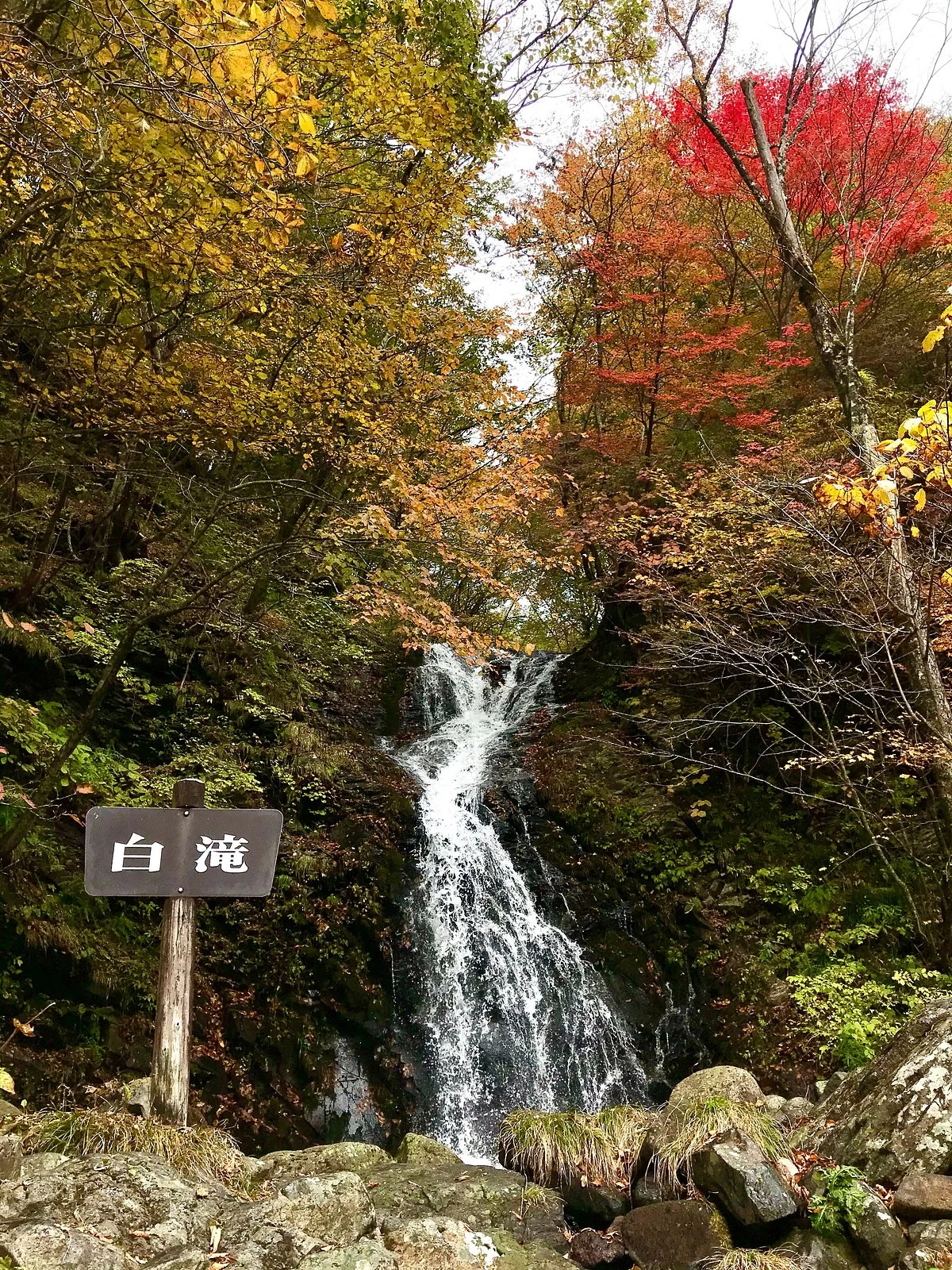 Nichien Momiji Line