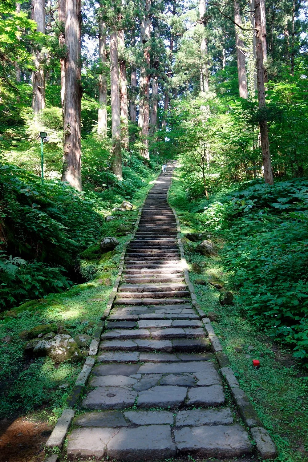 Mt.Haguro- Cedat Trees along the Approach