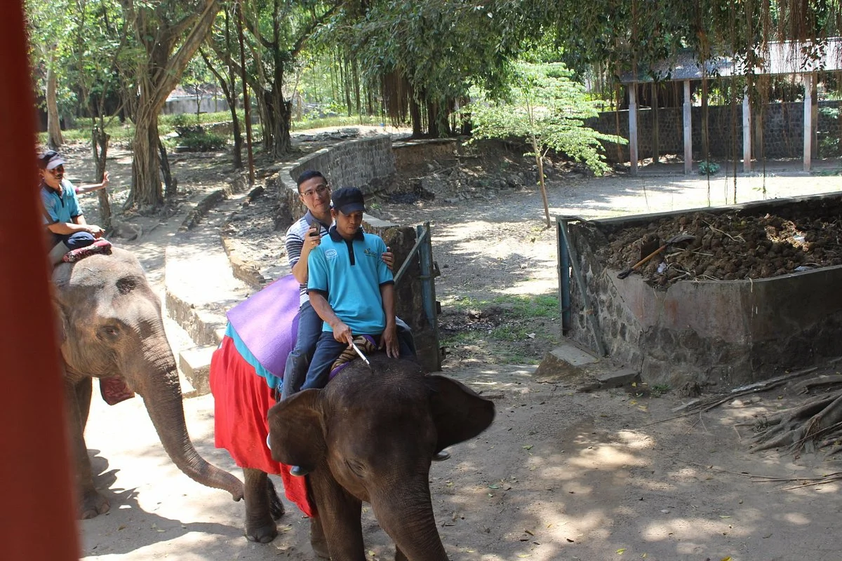 Jurug Zoo