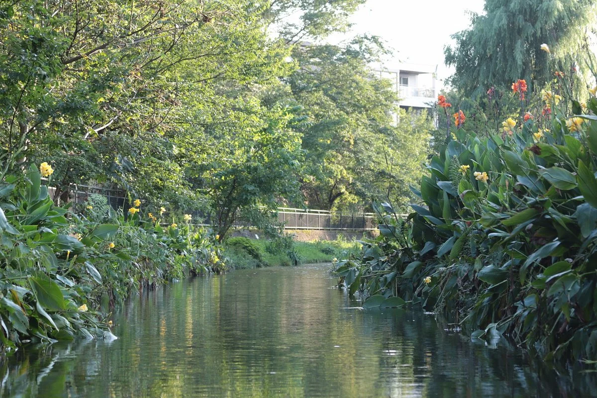 Ochiai River and Minamisawa Springs