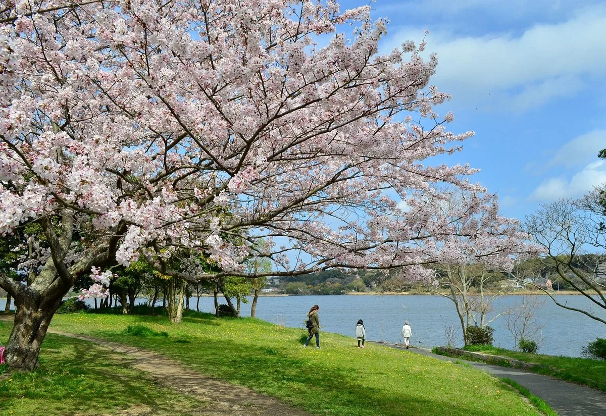 Sanaruko Park