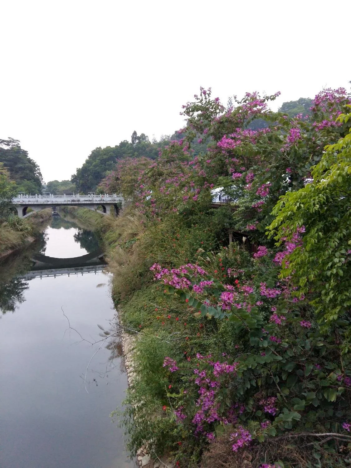 Gaobang Mountain