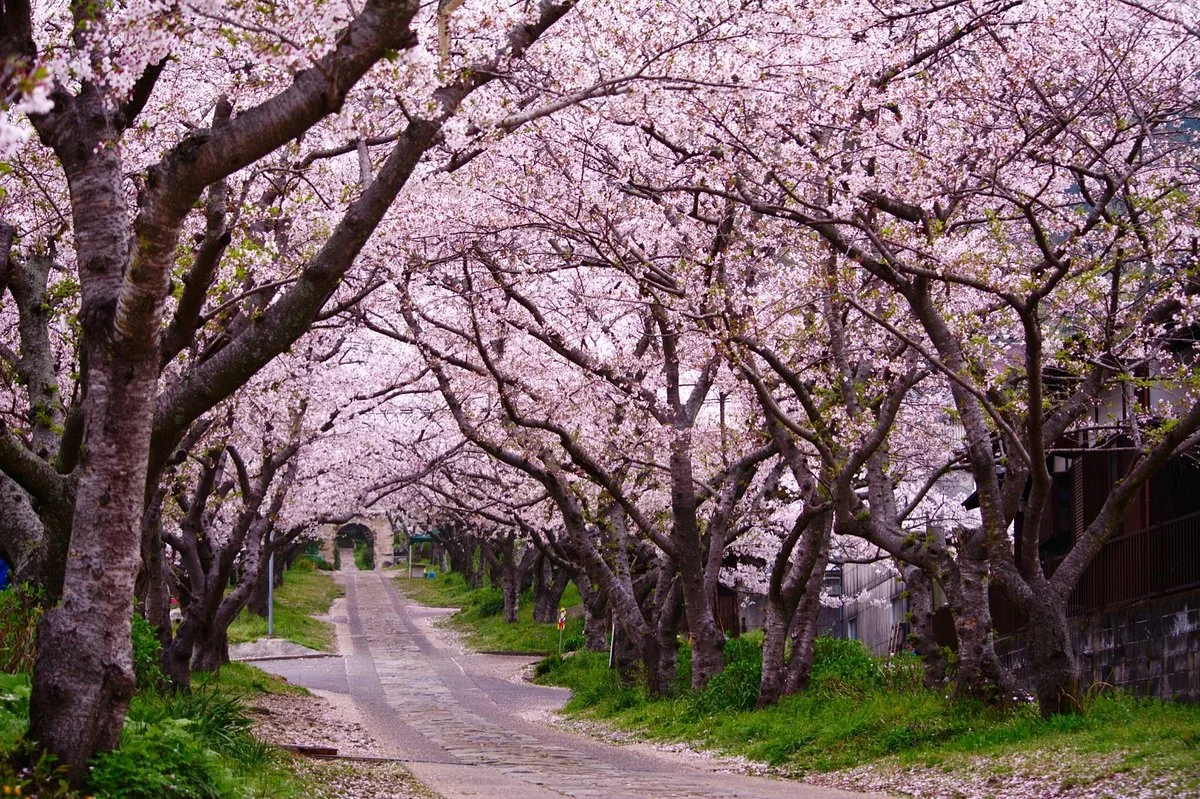 Enjoji Temple