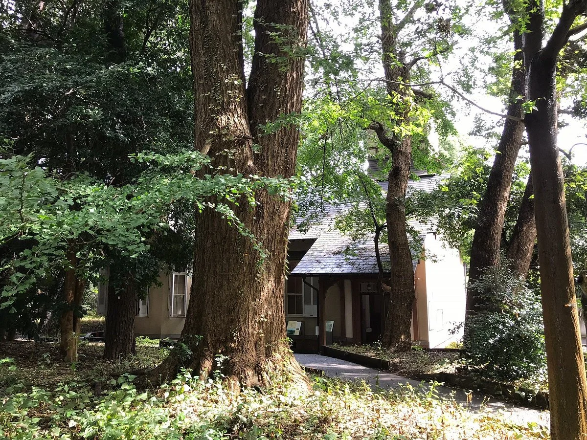 Kiuchi Gallery