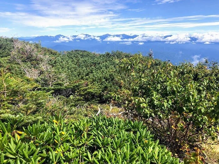 Mount Utsugi