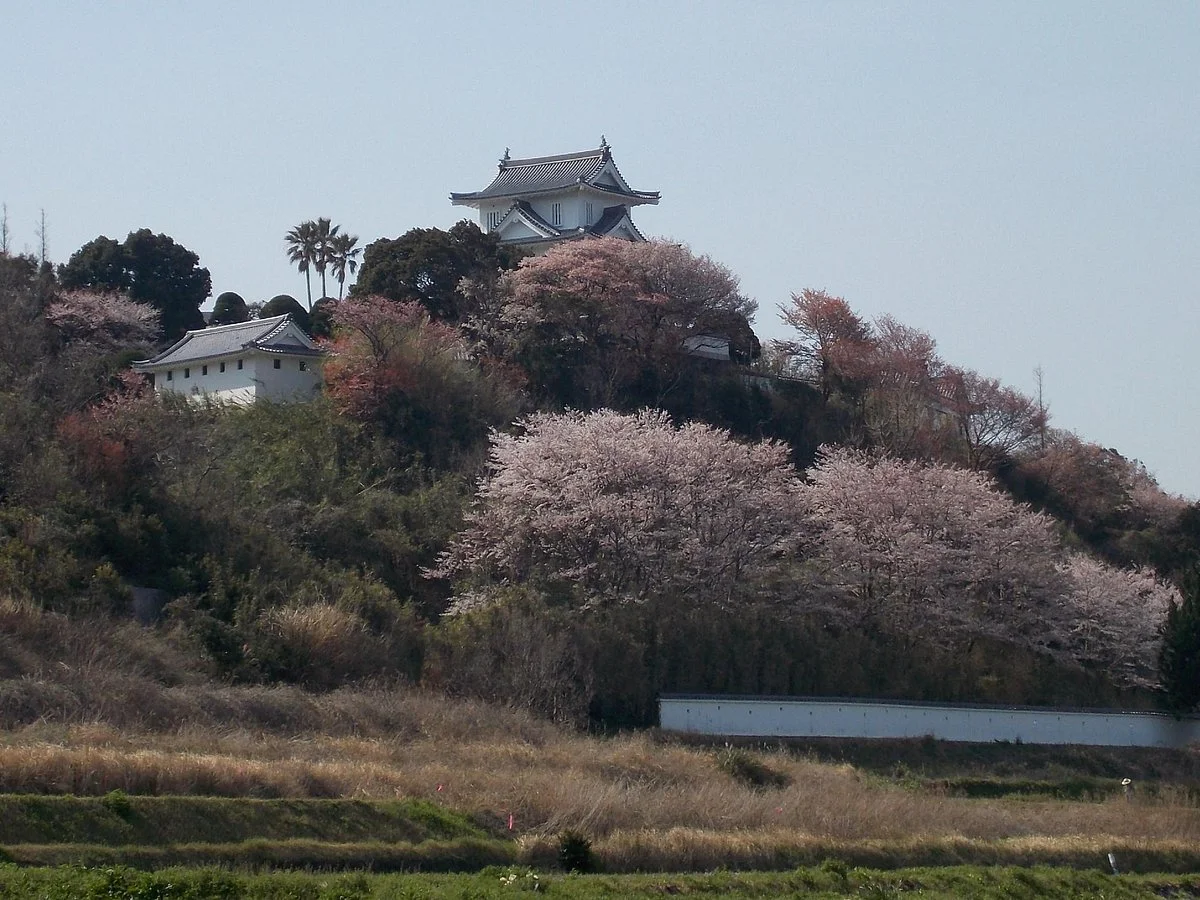 Awaji Castle
