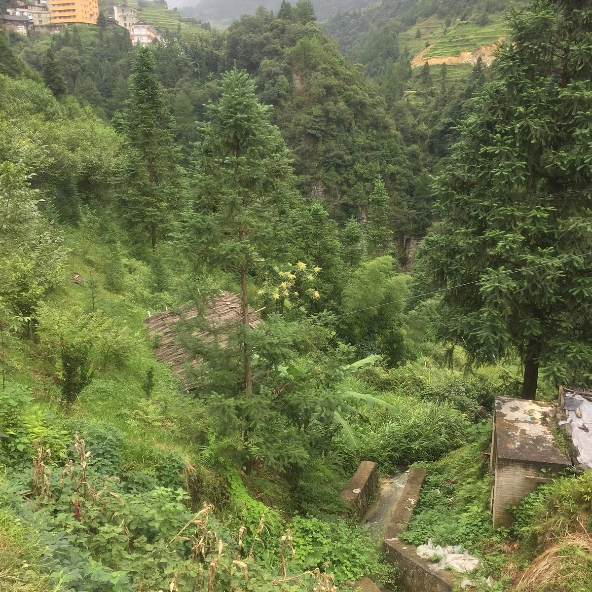 Leigongshan Mountain