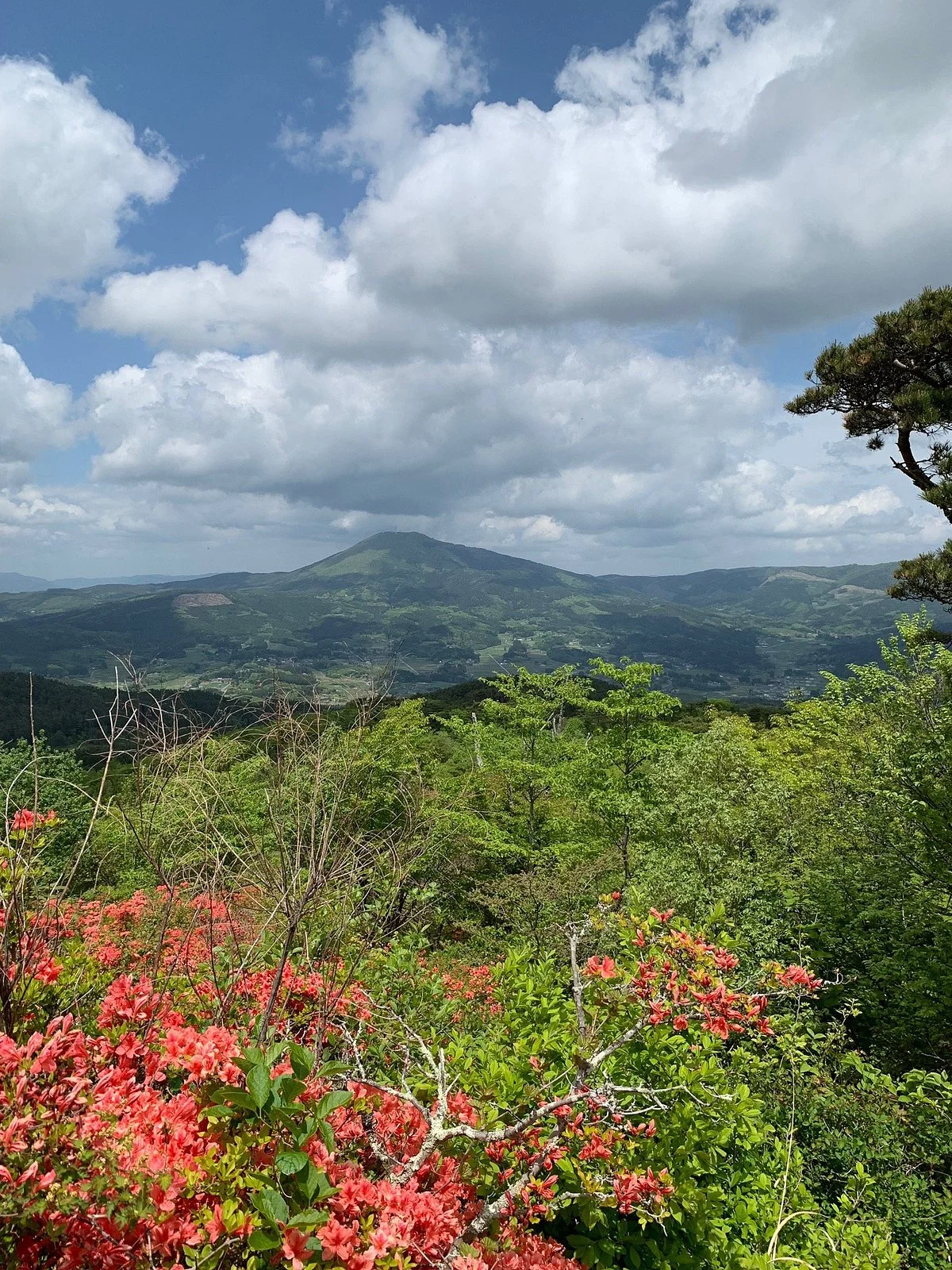 Mt. Yagoshiyama