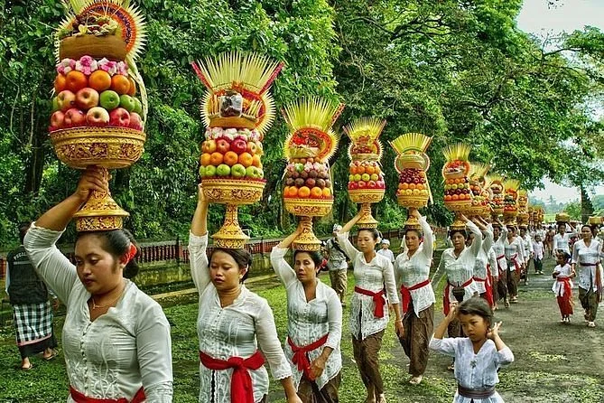 Rio Bali Tours