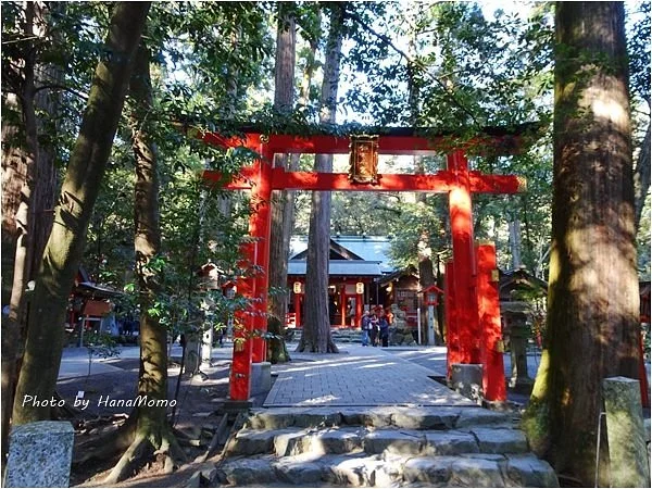 Tsubaki Ogamiyashiro Shrine