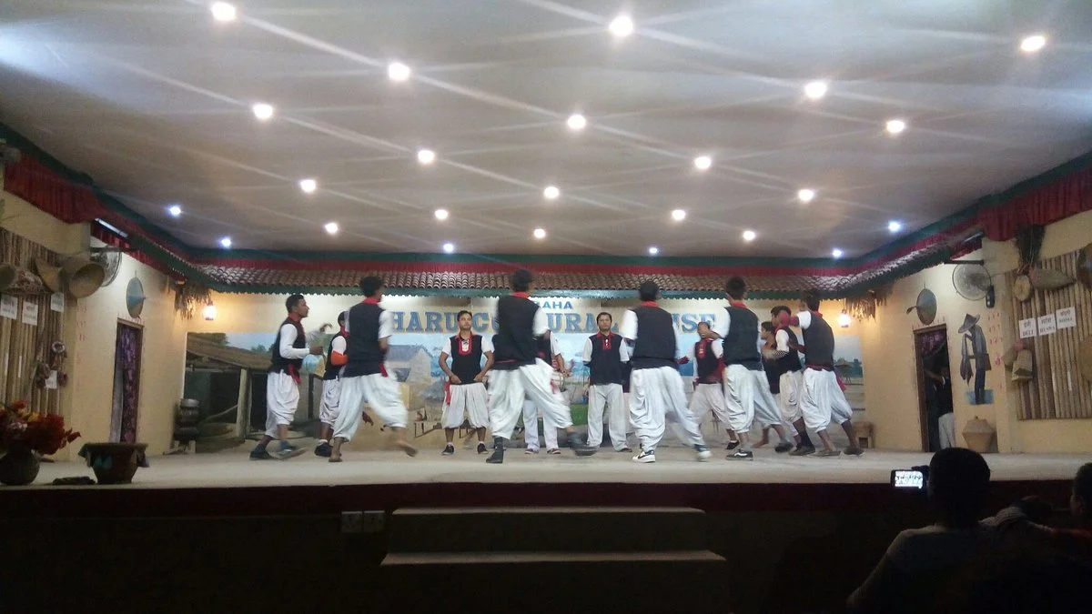 Sauraha Tharu Culture House