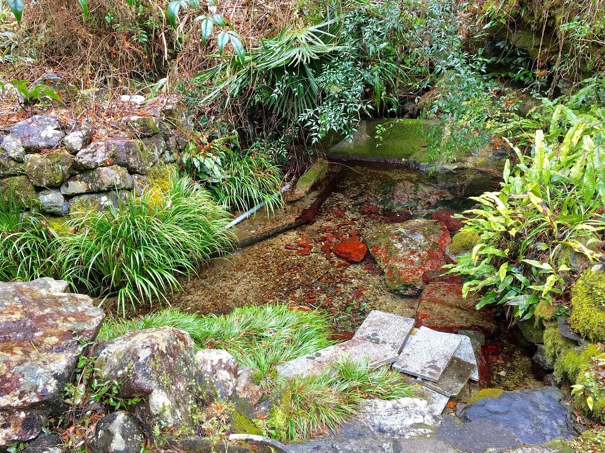 Renko-ji Temple Spring Water
