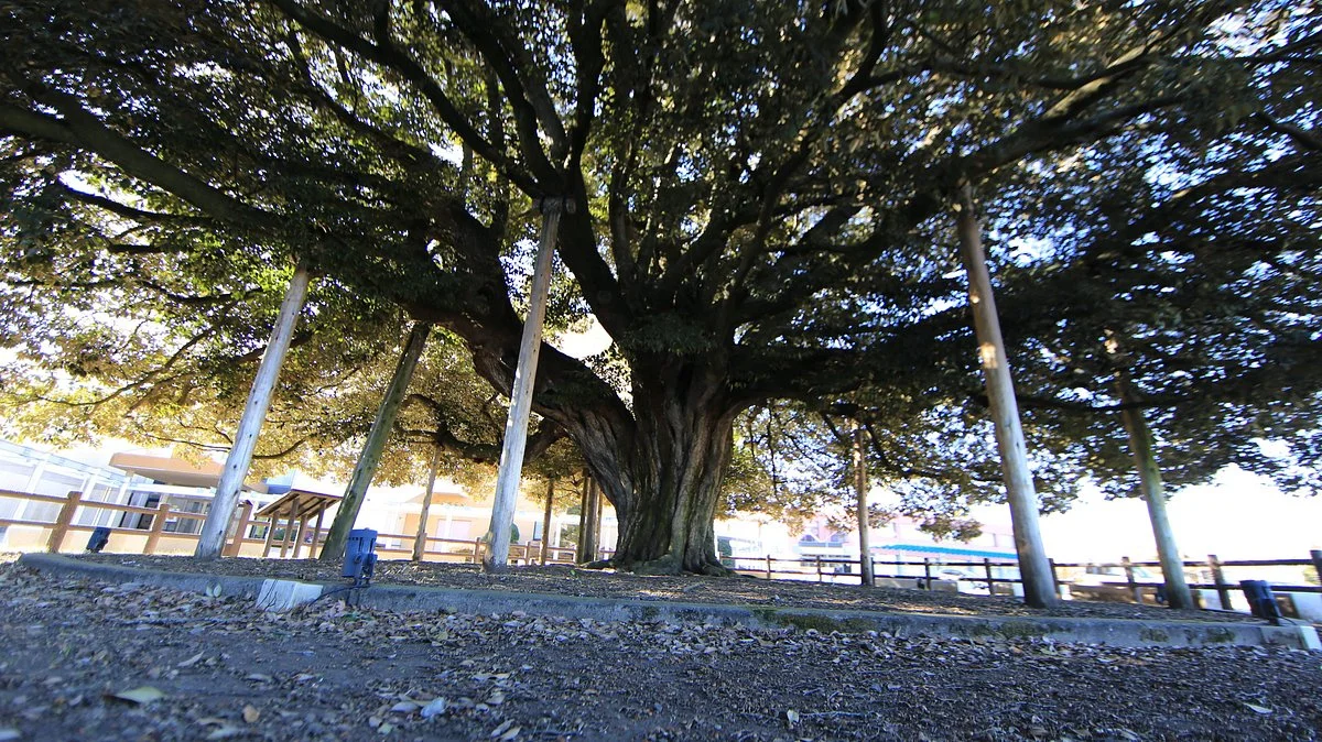 Sudagi Park