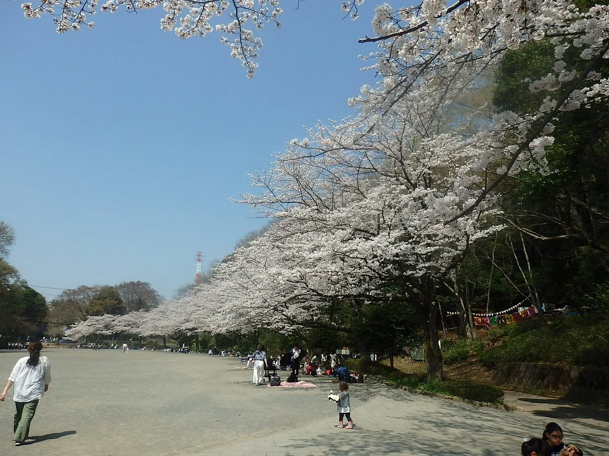 Serigaya Park