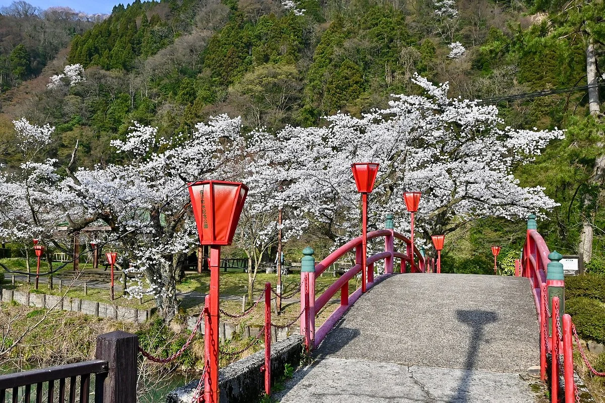 Shogawa Aqua Memorial Park