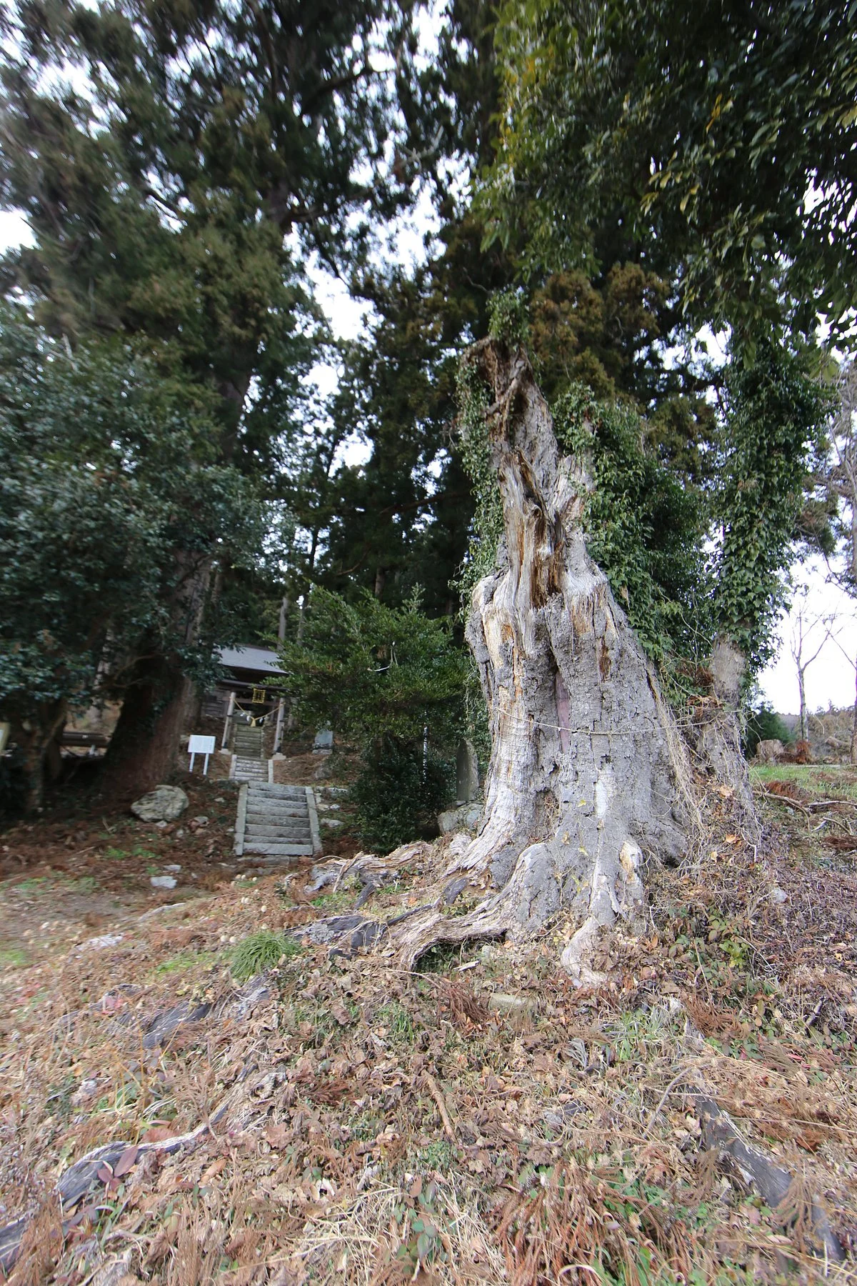 Takamiya Shrine