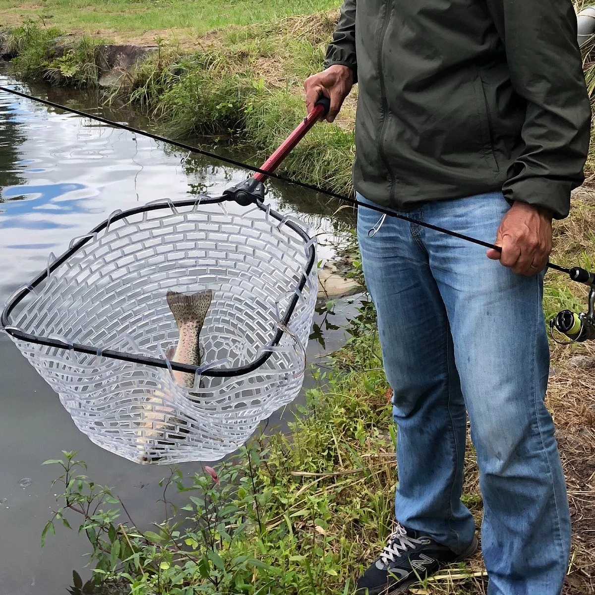 Fishing Motai