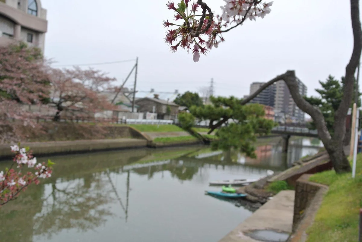 Soka Matsubara