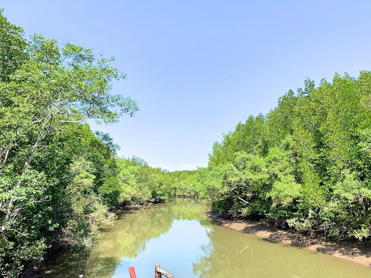 Ngao Mangrove Forest Research Centre