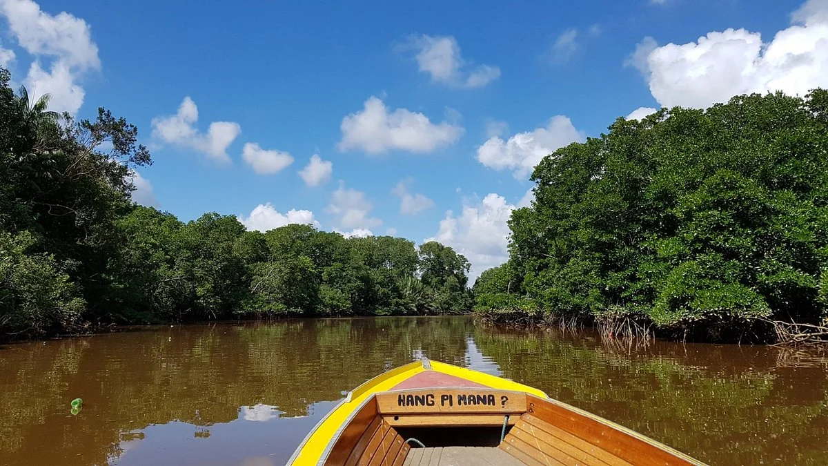 Brunei River