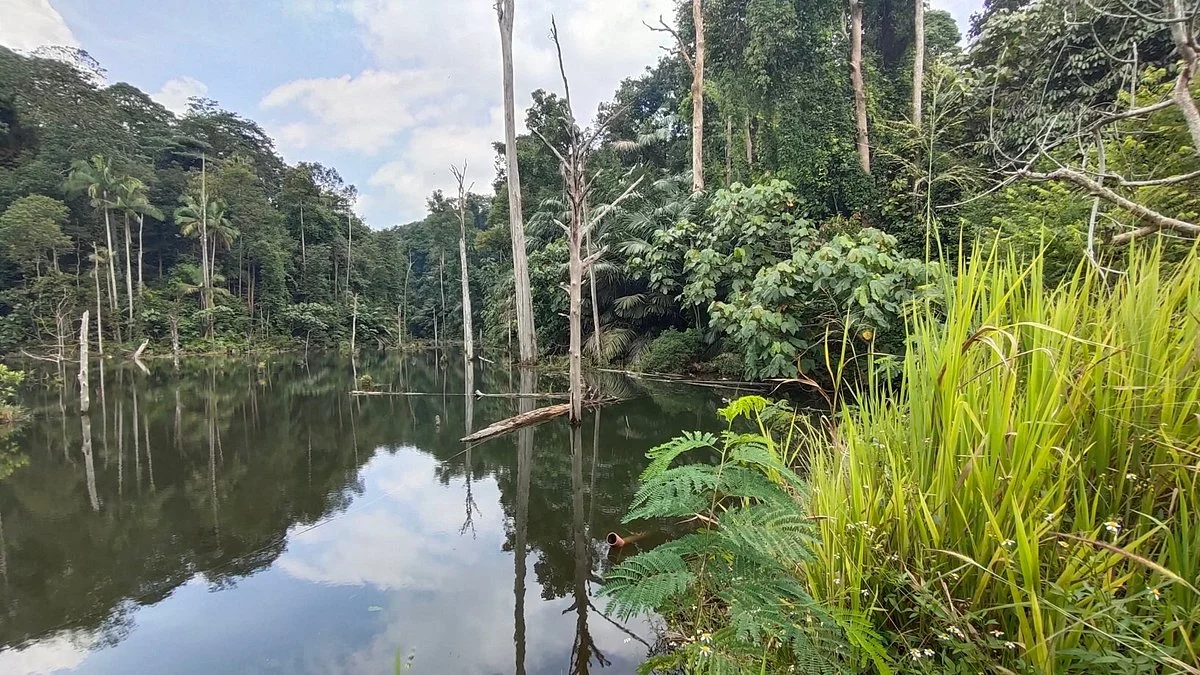 Setia Alam Community Trail