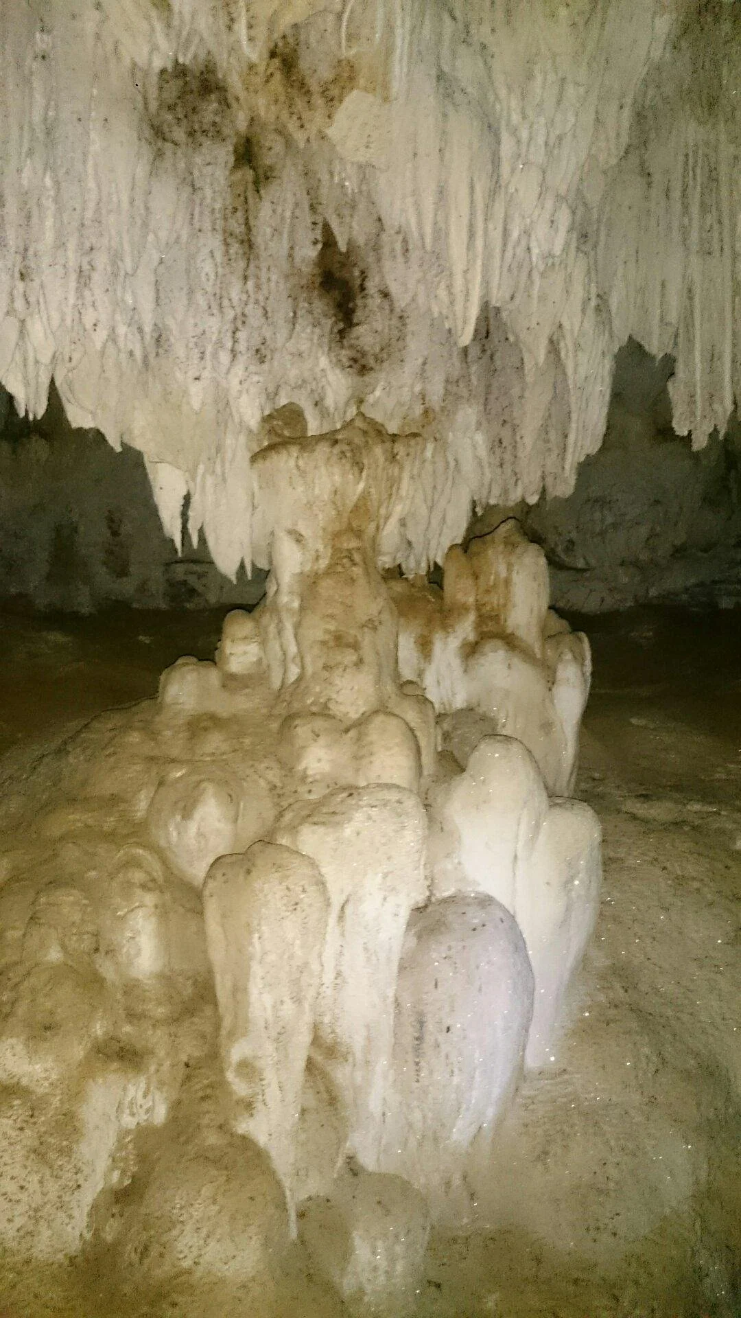 Sierra Cave