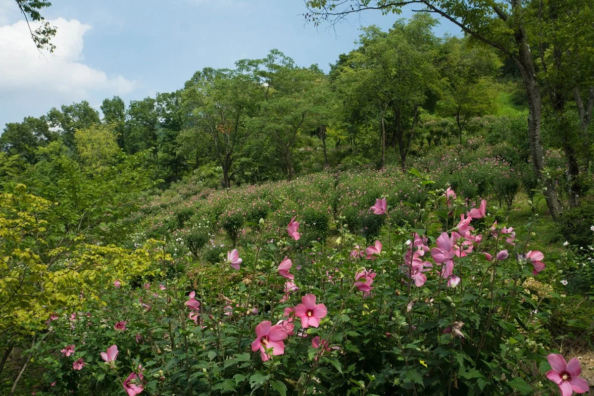 Mukuge Nature Park