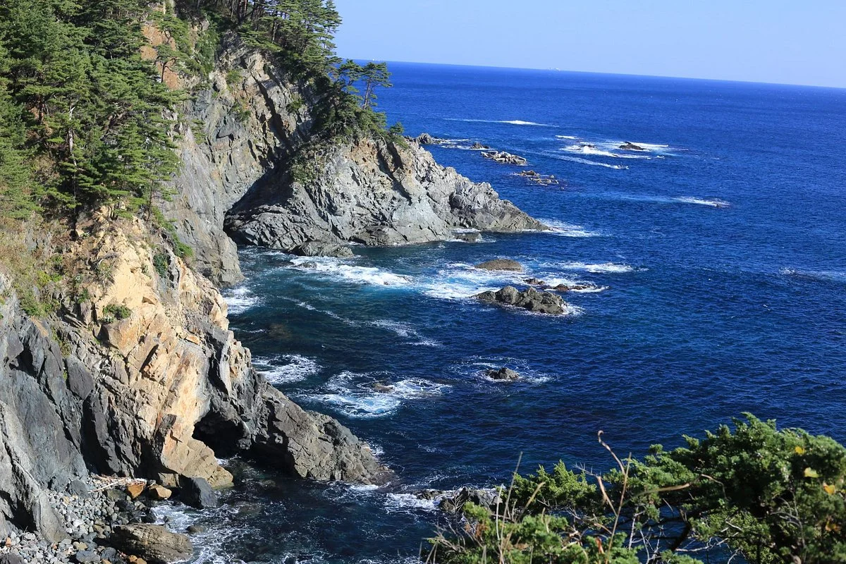 Blowhole