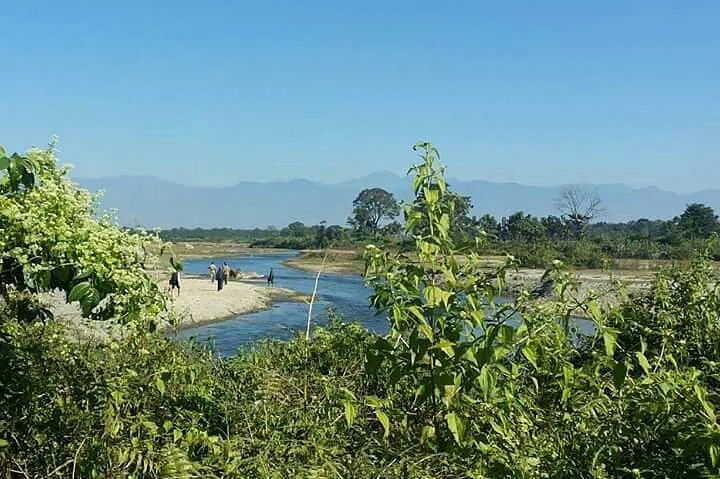 Chilapata Wildlife Sanctuary