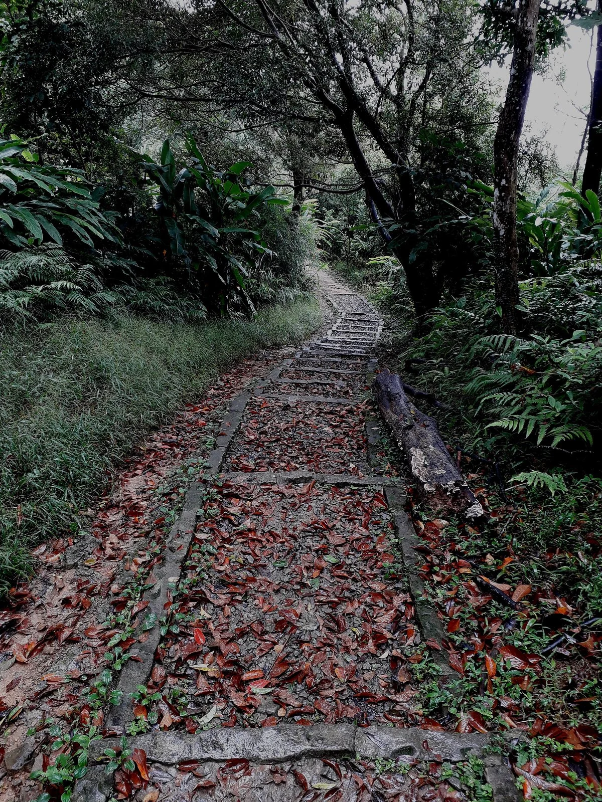 Zhanghu Trail