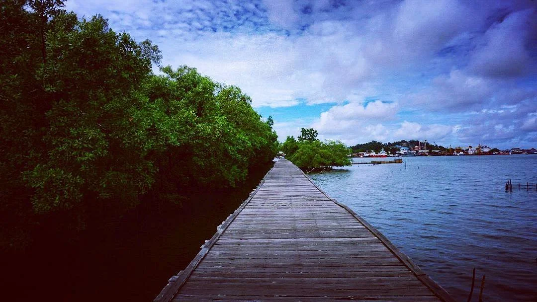 Ulin Kariangau Bridge